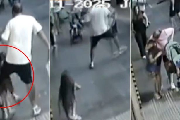 Impactante: Hombre con discapacidad agredió a niña de 6 en Palermo