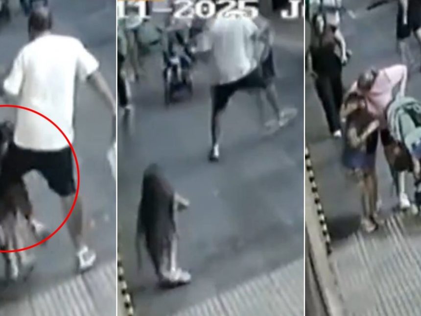 Impactante: Hombre con discapacidad agredió a niña de 6 en Palermo