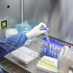 Impactante informe argentino: La variante ‘Frankenstein’ del Covid avanza