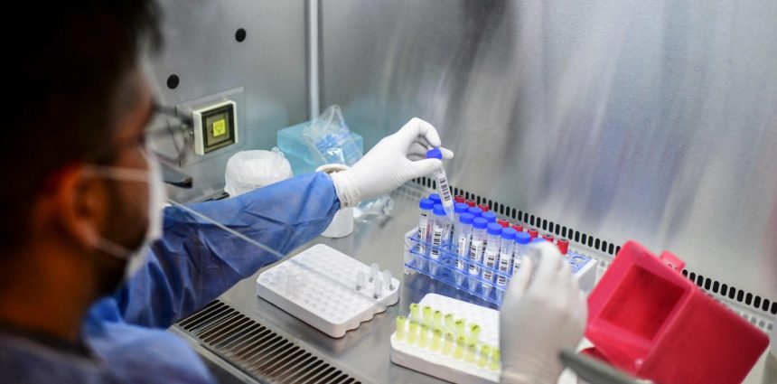 Impactante informe argentino: La variante ‘Frankenstein’ del Covid avanza