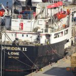 El buque con 2.901 vacas uruguayas regresa a casa en peligro