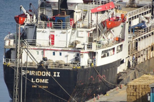 El buque con 2.901 vacas uruguayas regresa a casa en peligro