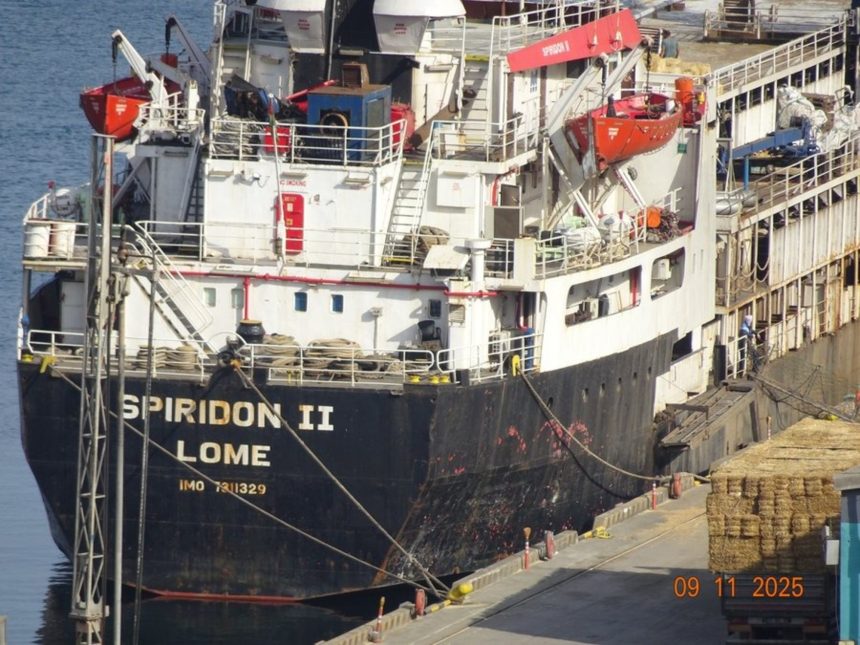 El buque con 2.901 vacas uruguayas regresa a casa en peligro