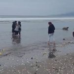 Emotiva despedida en La Serena: hallan al adolescente sanjuanino