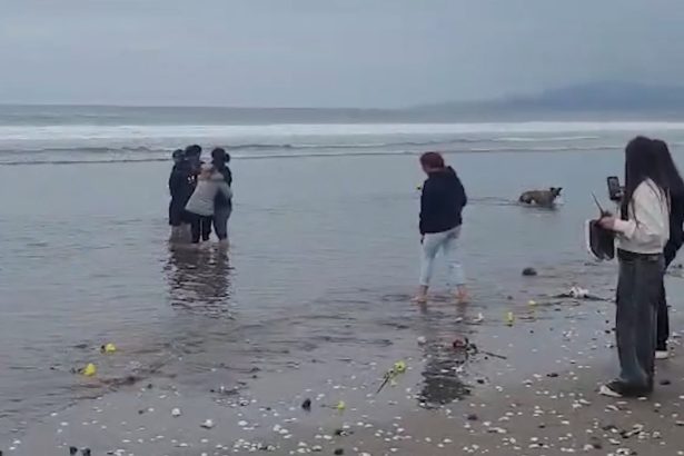 Emotiva despedida en La Serena: hallan al adolescente sanjuanino