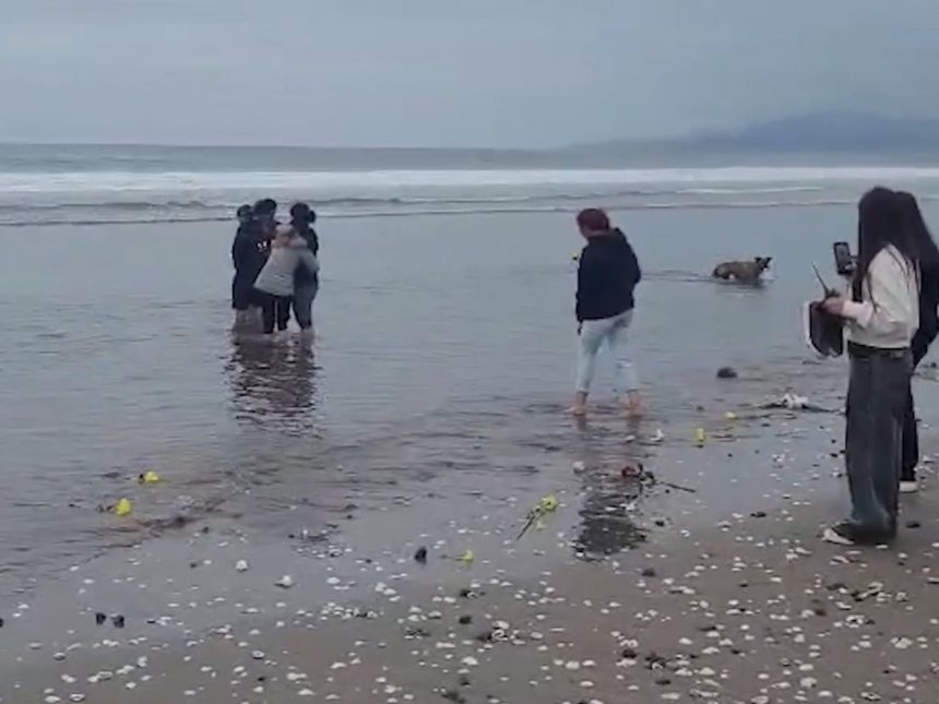 Emotiva despedida en La Serena: hallan al adolescente sanjuanino