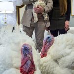 Trump Celebra Acción de Gracias Indultando Pavos en Mar-a-Lago