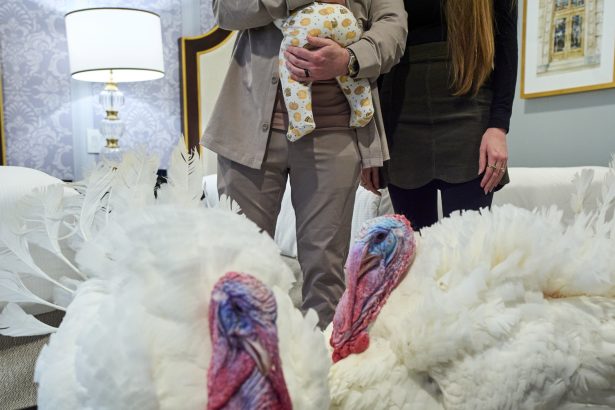 Trump Celebra Acción de Gracias Indultando Pavos en Mar-a-Lago