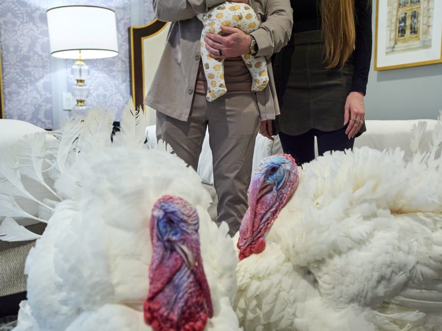 Trump Celebra Acción de Gracias Indultando Pavos en Mar-a-Lago