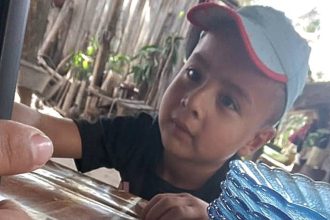 Caso Loan: Justicia Federal unifica causas y establece fecha clave