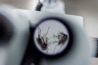 Brasil lanza la primera vacuna monodosis contra el dengue: 74% eficaz