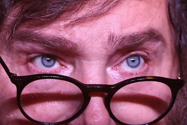 Milei lidera en nueva encuesta electoral 2027: ¡números sorprendentes!