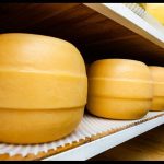 Queso de Santa Fe brilla en el Mundial de Suiza con medalla de plata