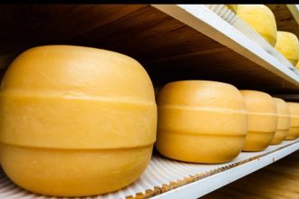 Queso de Santa Fe brilla en el Mundial de Suiza con medalla de plata