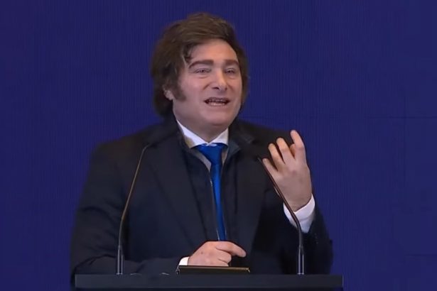 Javier Milei: Su reelección y el desafío de resolver problemas