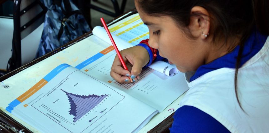 Mejoras en Primaria: Alumnos de Ciudad Avanzan, Pero Aún Bajo Nivel