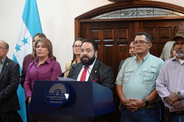 Honduras: Congreso rechaza validar resultados de elecciones presidenciales