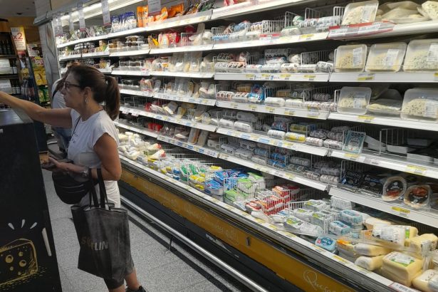 Alerta Sanitaria: Bacteria en Queso de Marca Reconocida – ANMAT y SENASA