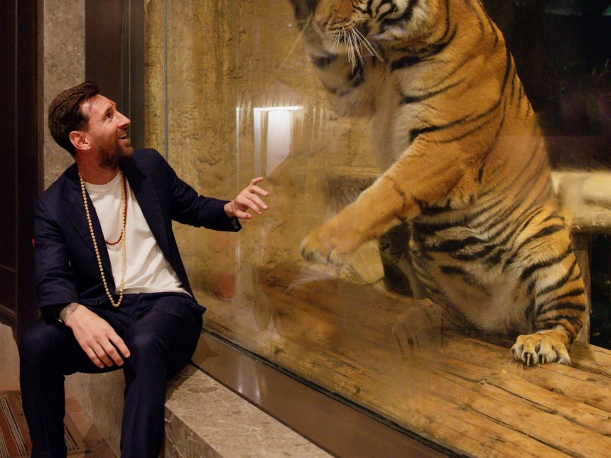 Messi se despide de India: Impactante foto en centro de conservación
