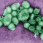 ¡Alerta! La gripe H3N2 se acerca a Argentina: Vacúnate ya