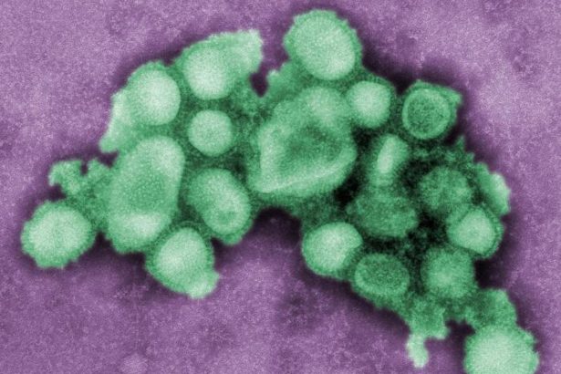 ¡Alerta! La gripe H3N2 se acerca a Argentina: Vacúnate ya