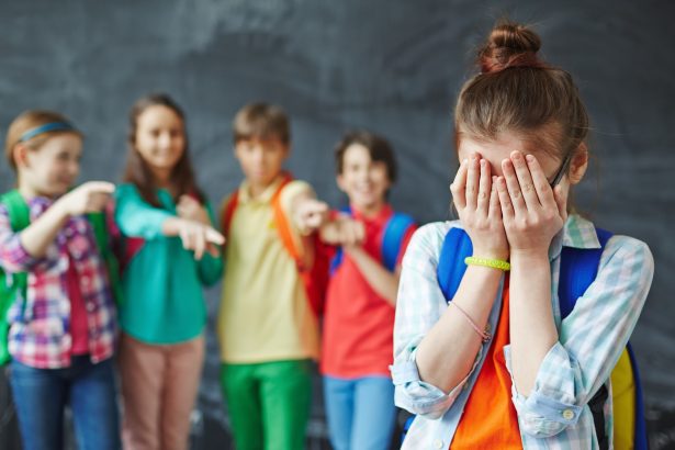 Nueva ley contra el bullying: padres responsables de las agresiones