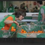 Evita el Desperdicio de Alimentos: Consejos Útiles para las Fiestas