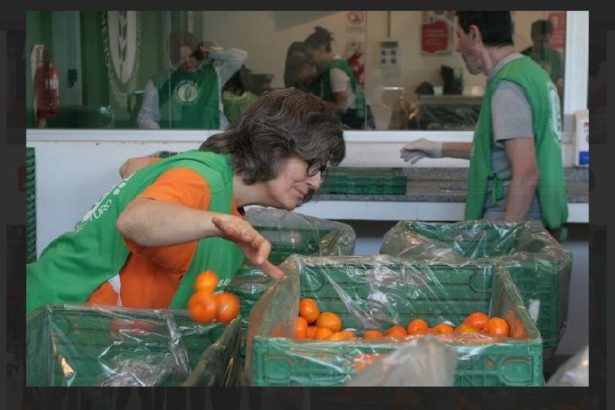 Evita el Desperdicio de Alimentos: Consejos Útiles para las Fiestas