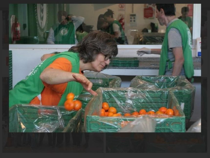 Evita el Desperdicio de Alimentos: Consejos Útiles para las Fiestas