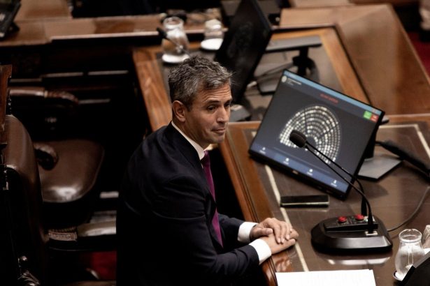 El Efecto Mariposa Libertario: Torpeza en Diputados que Sacudió el Senado