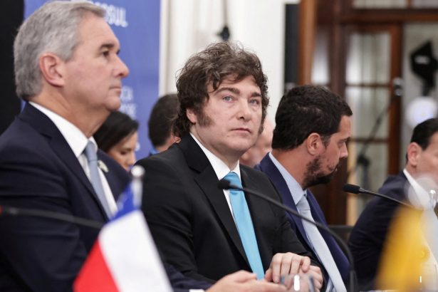 Milei llama ‘narcoterrorista’ a Maduro y apoya a Trump en Mercosur