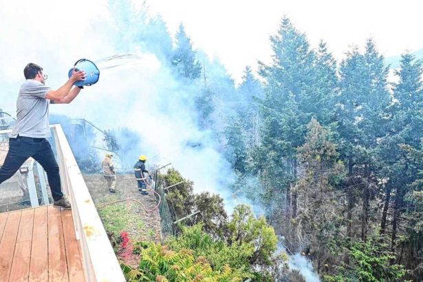 Chispas y Pastos Secos: La Amoladora que Provocó el Incendio en Bariloche