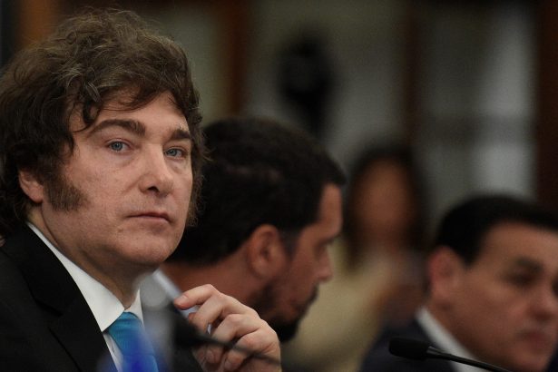 El Gobierno recurre a la Justicia para derogar la ley de Discapacidad