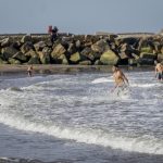 Mar del Plata: Optimismo y dudas ante el inicio del verano 2023