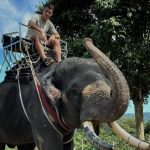 Peralta Bauer: El ex San Lorenzo que brilla en Indonesia y su lucha con la comida picante