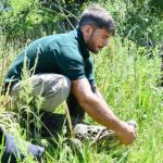 Libertad para ‘Ricardito’: el yacaré overo tras 10 años en cautiverio