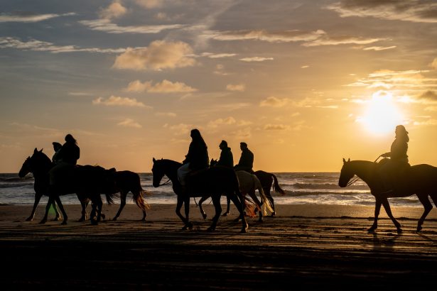 Pinamar: Estrategias para competir con Brasil en temporada de dólar bajo