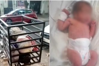Milagro en San Martín: Rescatan a bebé recién nacida de la basura