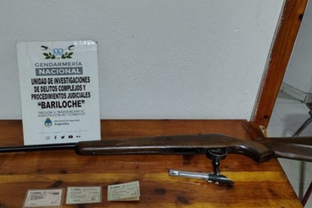 Impactante: Matan a guanaco en Parque Nahuel Huapi y enfrentan multa