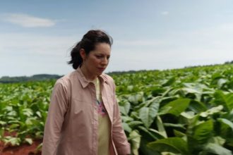 Descubre ‘HUMO’: El impactante documental sobre el contrabando de cigarrillos