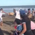 Caos en Mar Azul: Pelea épica entre vendedores y churreros
