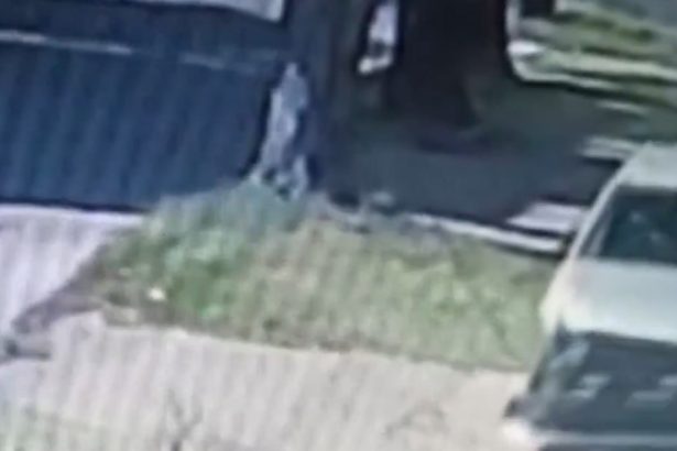 Joven de 15 años atropella a un hombre y choca contra una casa