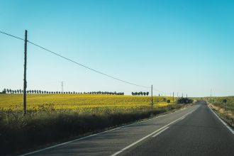 Clamor Silenciado: La Impactante Odisea del Náufrago en Ruta 8