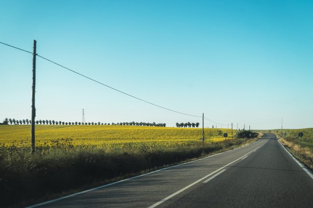 Clamor Silenciado: La Impactante Odisea del Náufrago en Ruta 8