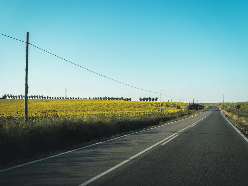 Clamor Silenciado: La Impactante Odisea del Náufrago en Ruta 8