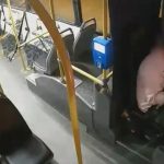 Confusión fatal: Hombre golpea al chofer equivocado tras pelea