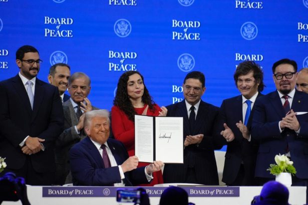 Milei en el Consejo de la Paz de Trump: Encuentro con Líderes Globales