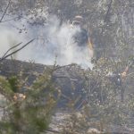 Incendios en Patagonia: Gobierno interviene Parque Nacional Los Alerces