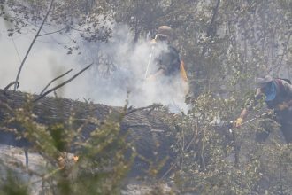 Incendios en Patagonia: Gobierno interviene Parque Nacional Los Alerces