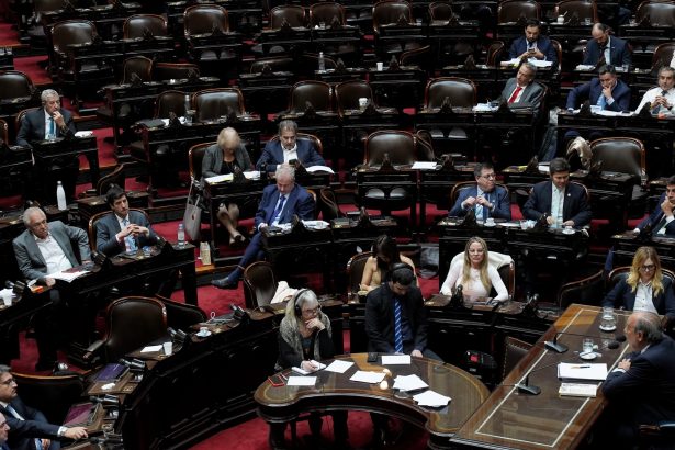 Oposición en Diputados: Lucha por rechazar el DNU de la SIDE
